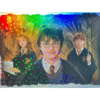 Panini Harry Potter Anthology Sticker LE Card Harry Hermine & Ron