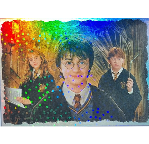 Panini Harry Potter Anthology Sticker LE Card Harry Hermine & Ron