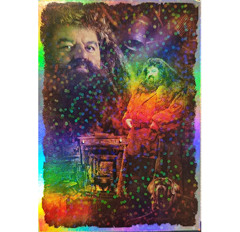 Panini Harry Potter Anthology Sticker LE Card Rubeus Hagrid