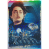 Panini Harry Potter Anthology Sticker LE Card Harry Ron & the flying car