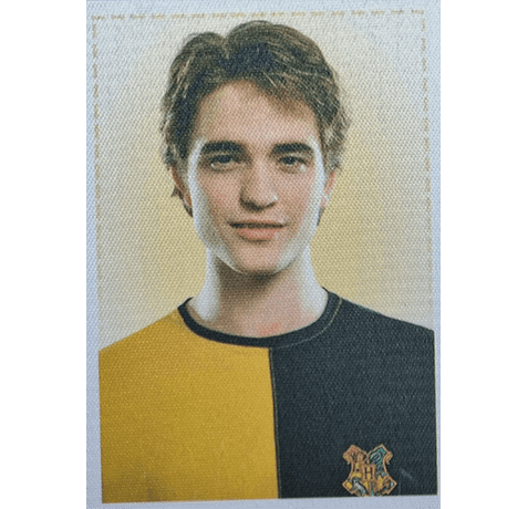 Panini Harry Potter Anthology Sticker Nr Y11