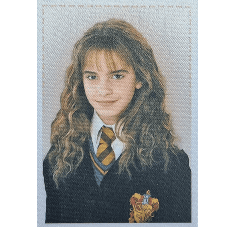 Panini Harry Potter Anthology Sticker Nr Y2