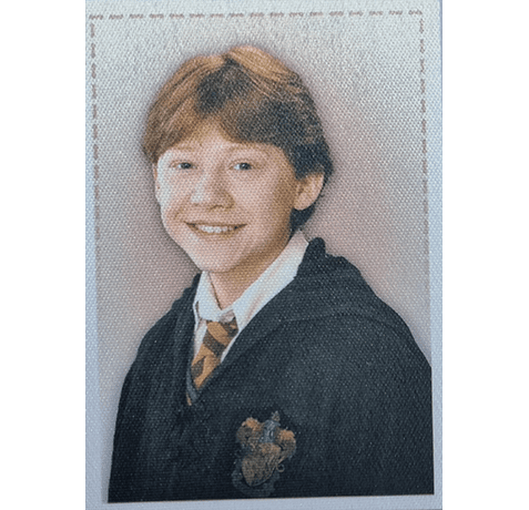 Panini Harry Potter Anthology Sticker Nr Y3