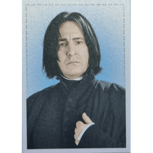 Panini Harry Potter Anthology Sticker Nr Y6