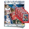 Panini NFL 2024 Sticker / Stickeralbum inkl. 5x Stickertüten