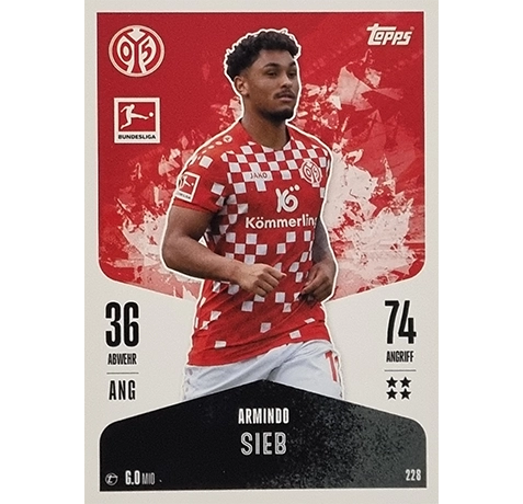 Topps Bundesliga Match Attax 2024/25 / Nr. 228 ARMINDO SIEB