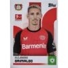 Topps Bundesliga Sticker Saison 2024/2025 / Sticker Nummer 264 Alejandro Grimaldo