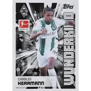Topps Bundesliga Sticker Saison 2024/2025 / Sticker Nummer 325 Charles Herrmann / Wunderkind
