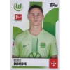 Topps Bundesliga Sticker Saison 2024/2025 / Sticker Nummer 412 Bence Dardai