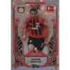 Topps Bundesliga Sticker Saison 2024/2025 / Sticker Nummer LEG 2 Dimitar Berbatov