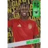 Panini Top Class Adrenalyn XL 2025 / HOLO GIANT / WILLIAMS