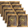Panini FIFA Club World Cup 2025 Sticker | 10x Stickertüten