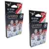 Panini 125 Jahre DFB Fussball Sticker | 2x Eco Blister Pack klein