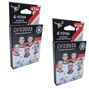 Panini 125 Jahre DFB Fussball Sticker | 2x Eco Blister Pack klein