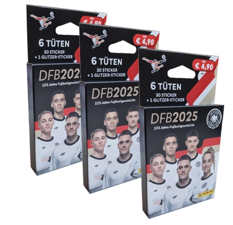 Panini 125 Jahre DFB Fussball Sticker | 3x Eco Blister Pack klein