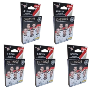 Panini 125 Jahre DFB Fussball Sticker | 5x Eco Blister Pack klein