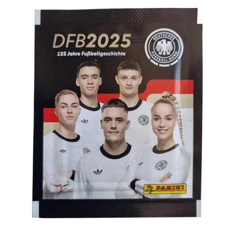Panini 125 Jahre DFB Fussball Sticker | 1x Display je 36x Stickertüten