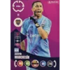 Panini FIFA Club WM Trading Cards 2025 | Nr. 011 AGUSTIN MARCHESIN