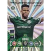 Panini FIFA Club WM Trading Cards 2025 | ESTEVAO | LIMITED EDITION