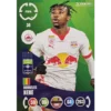 Panini FIFA Club WM Trading Cards 2025 | Nr. 034 DORGELES NENE