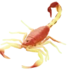 Blue Ocean Planet WOW Toxic Creatures | Figur 02 Ost Indischer Skorpion
