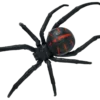 Blue Ocean Planet WOW Toxic Creatures | Figur 04 Südliche Schwarze Witwe