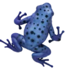 Blue Ocean Planet WOW Toxic Creatures | Figur 11: Blauer Baumsteiger