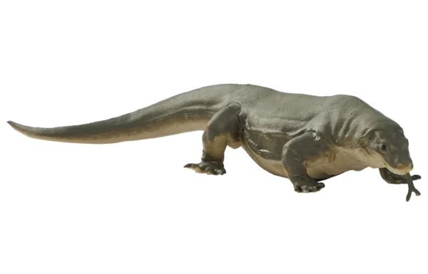 Blue Ocean Planet WOW Toxic Creatures | Figur 12: Komodowaran