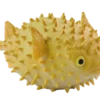 Blue Ocean Planet WOW Toxic Creatures | Figur 16: Braunflecken-Igelfisch