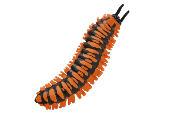 Blue Ocean Planet WOW Toxic Creatures | Figur 19: Apheloria Polychroma