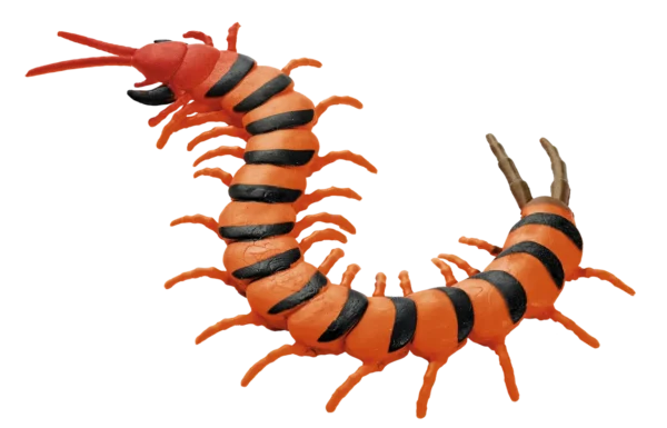 Blue Ocean Planet WOW Toxic Creatures | Figur 20: Scolopendra Morsitans