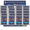 Panini NFL Sticker & Cards 2025 Bundle | Album + 20 Tüten