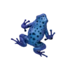 Blue Ocean Planet WOW Toxic Creatures | Figur 11: Blauer Baumsteiger