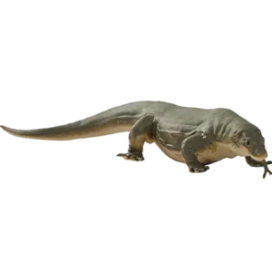 Blue Ocean Planet WOW Toxic Creatures | Figur 12: Komodowaran