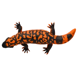 Blue Ocean Planet WOW Toxic Creatures | Figur 13: Gila-Krustenechse