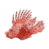 Blue Ocean Planet WOW Toxic Creatures | Figur 14: Afrikanischer Feuerfisch