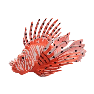 Blue Ocean Planet WOW Toxic Creatures | Figur 14: Afrikanischer Feuerfisch