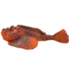 Blue Ocean Planet WOW Toxic Creatures | Figur 15: Echter Steinfisch
