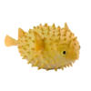 Blue Ocean Planet WOW Toxic Creatures | Figur 16: Braunflecken-Igelfisch