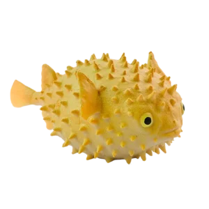Blue Ocean Planet WOW Toxic Creatures | Figur 16: Braunflecken-Igelfisch