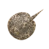 Blue Ocean Planet WOW Toxic Creatures | Figur 17: Perlenrochen