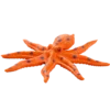 Blue Ocean Planet WOW Toxic Creatures | Figur 18: Großer Braungeringelter Krake