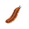 Blue Ocean Planet WOW Toxic Creatures | Figur 19: Apheloria Polychroma