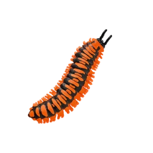 Blue Ocean Planet WOW Toxic Creatures | Figur 19: Apheloria Polychroma