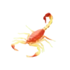 Blue Ocean Planet WOW Toxic Creatures | Figur 02 Ost Indischer Skorpion