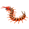Blue Ocean Planet WOW Toxic Creatures | Figur 20: Scolopendra Morsitans
