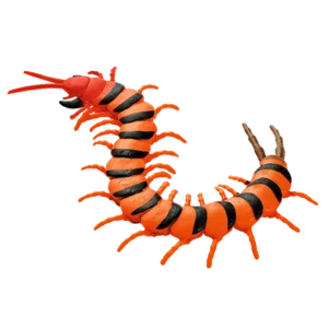 Blue Ocean Planet WOW Toxic Creatures | Figur 20: Scolopendra Morsitans