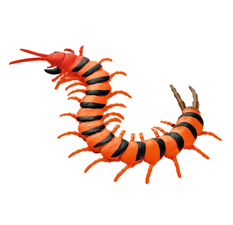 Blue Ocean Planet WOW Toxic Creatures | Figur 20: Scolopendra Morsitans