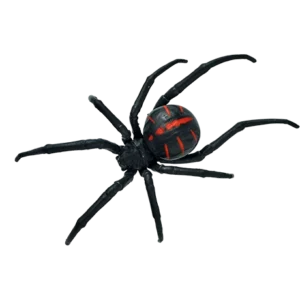 Blue Ocean Planet WOW Toxic Creatures | Figur 04 Südliche Schwarze Witwe