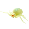 Blue Ocean Planet WOW Toxic Creatures | Figur 05: Veränderliche Krabbenspinne